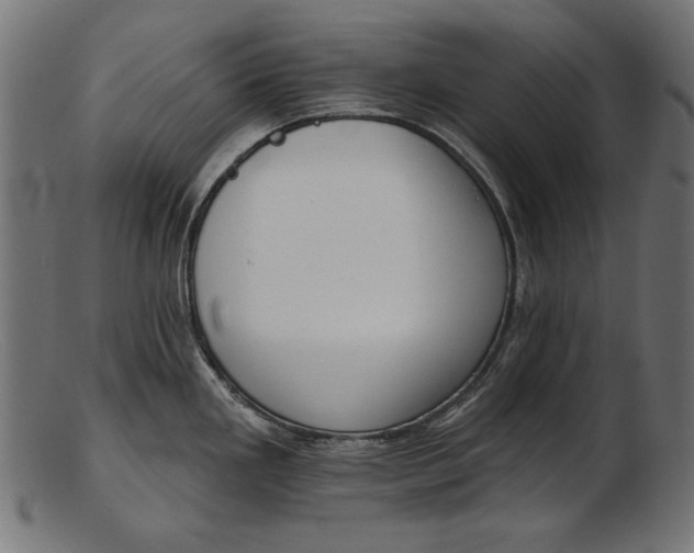 X0000103231293200809111522