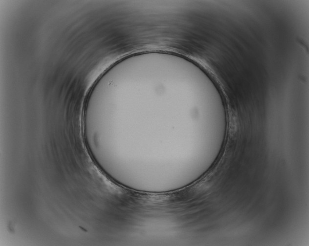 X0000103231294200809111522