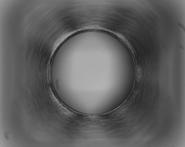 X0000103231295200809111522