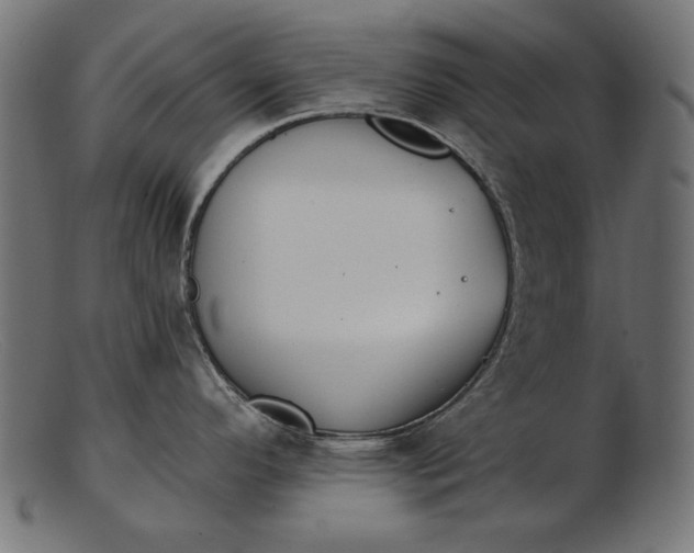 X0000103231296200809111522