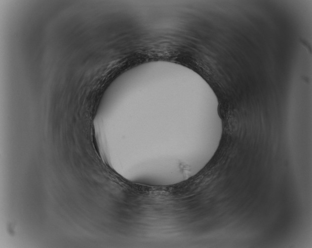 X0000103231297200809111521