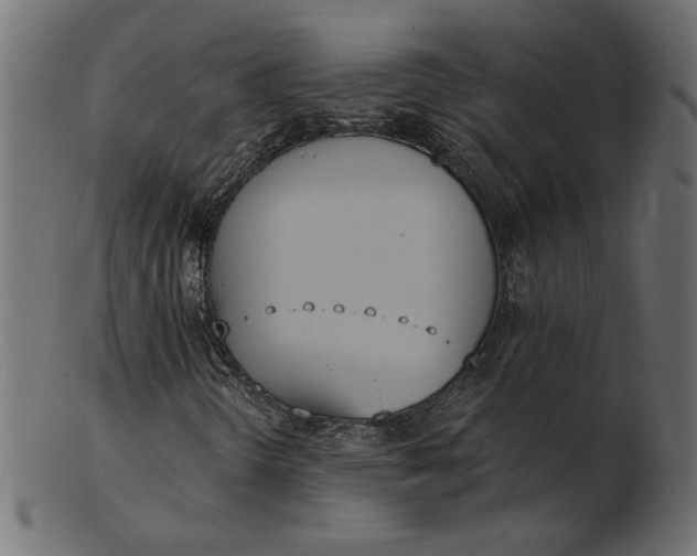 X0000103231298200809111521