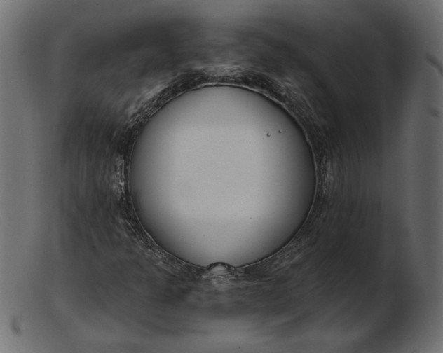 X0000103231301200809111521