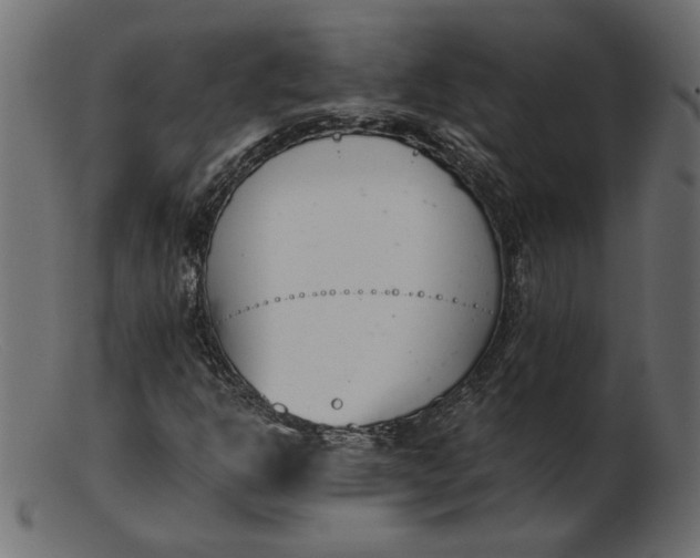 X0000103231302200809111521
