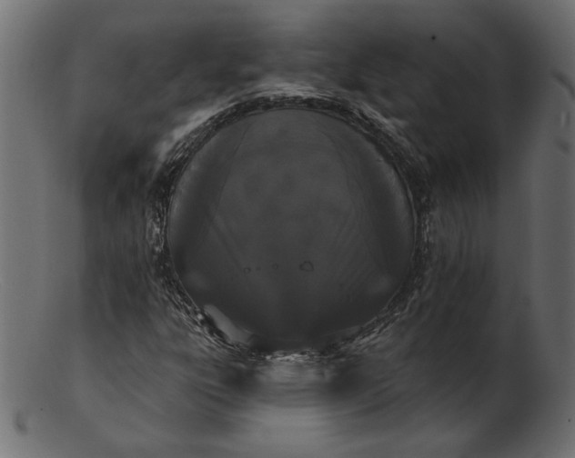 X0000103231303200809111521