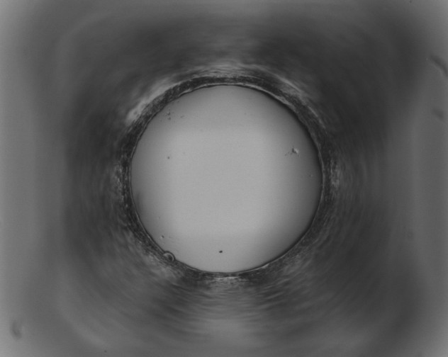 X0000103231304200809111521
