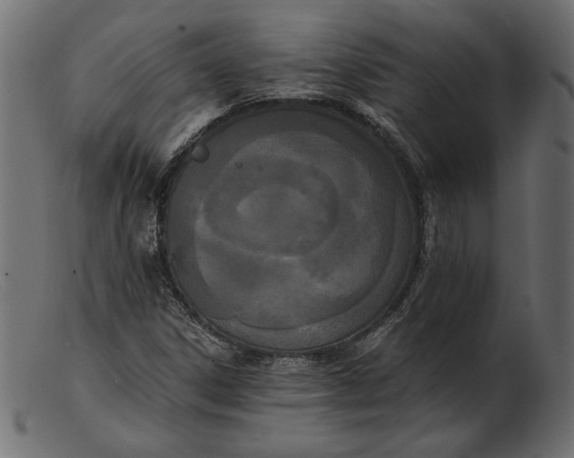 X0000103231306200809111521