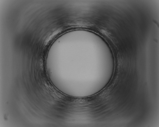 X0000103231307200809111521