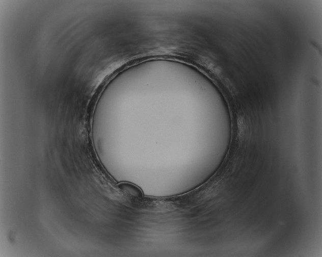 X0000103231308200809111521