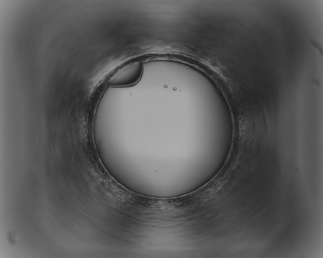 X0000103231311200809111521