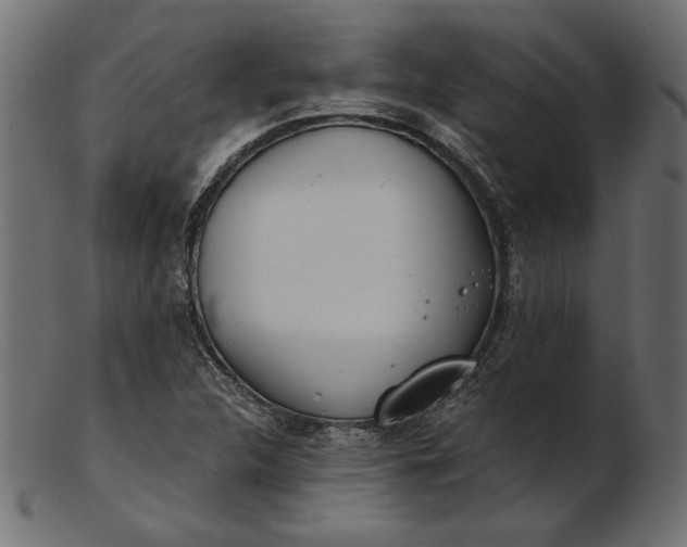 X0000103231312200809111521