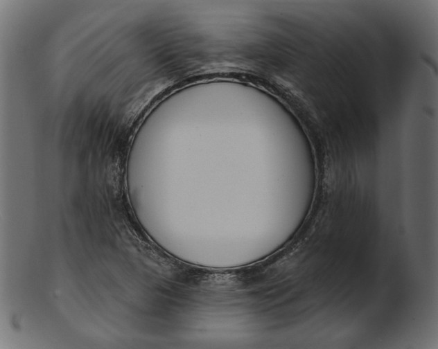 X0000103231313200809111521