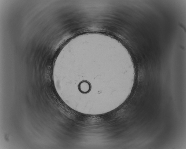 X0000103231314200809111521