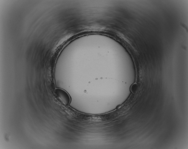 X0000103231315200809111521