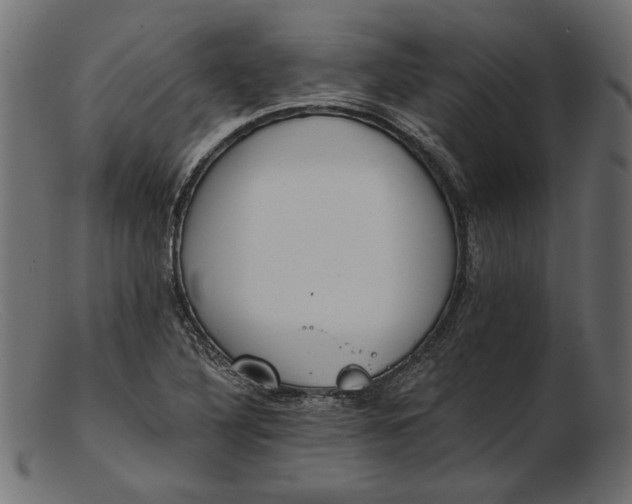 X0000103231316200809111521