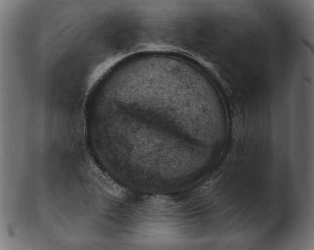 X0000103231319200809111521