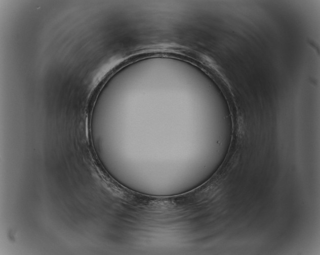 X0000103231320200809111521