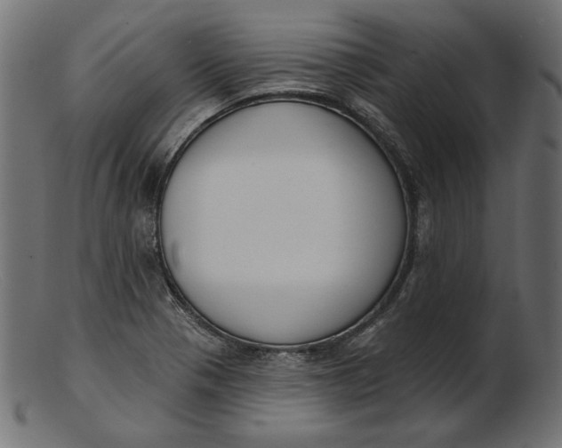 X0000103231321200809111521