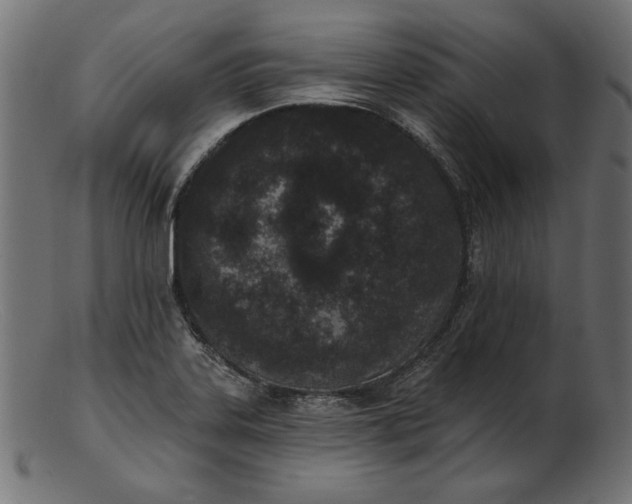 X0000103231323200809111521