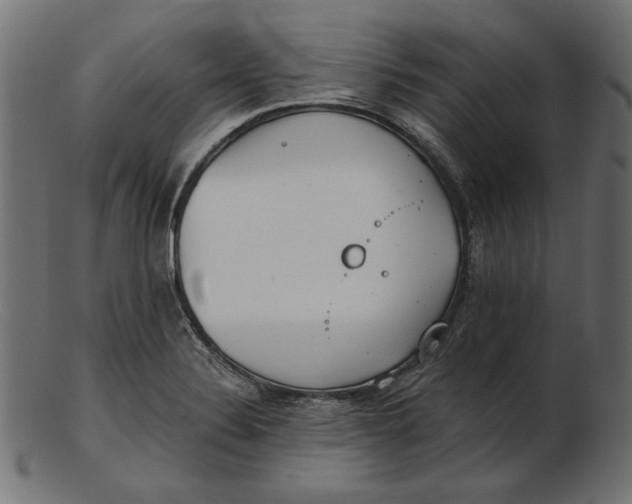 X0000103231324200809111521
