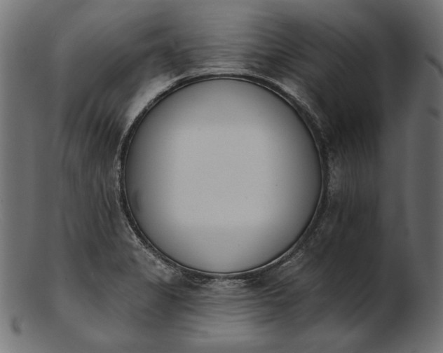 X0000103231325200809111521