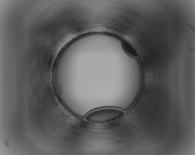 X0000103231326200809111521