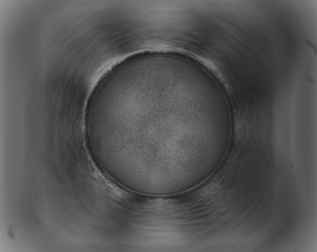 X0000103231327200809111521