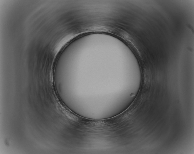X0000103231328200809111521