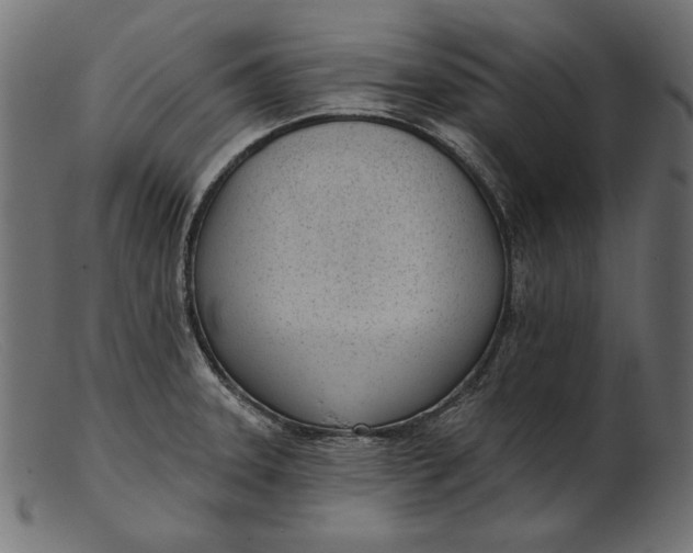 X0000103231331200809111521