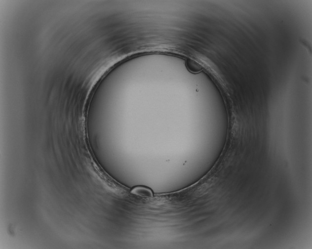 X0000103231332200809111521