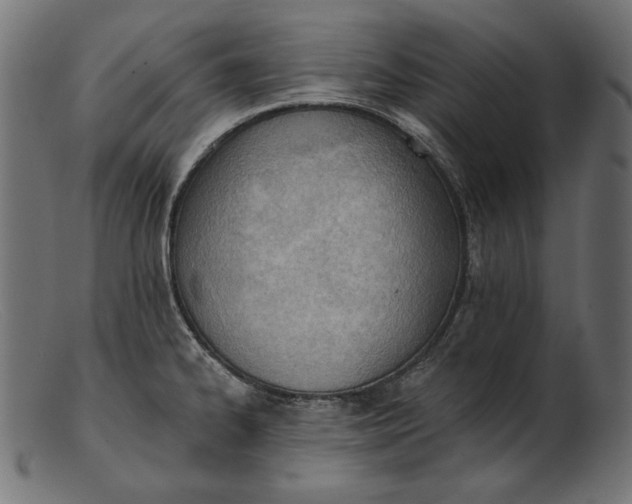 X0000103231334200809111521