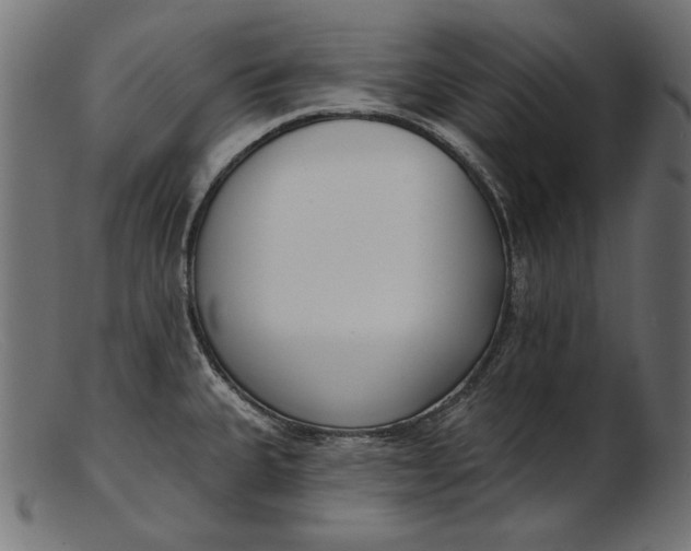 X0000103231335200809111521