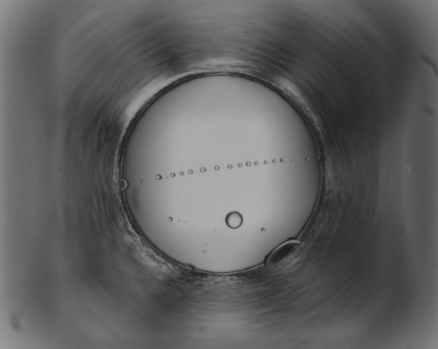 X0000103231336200809111521