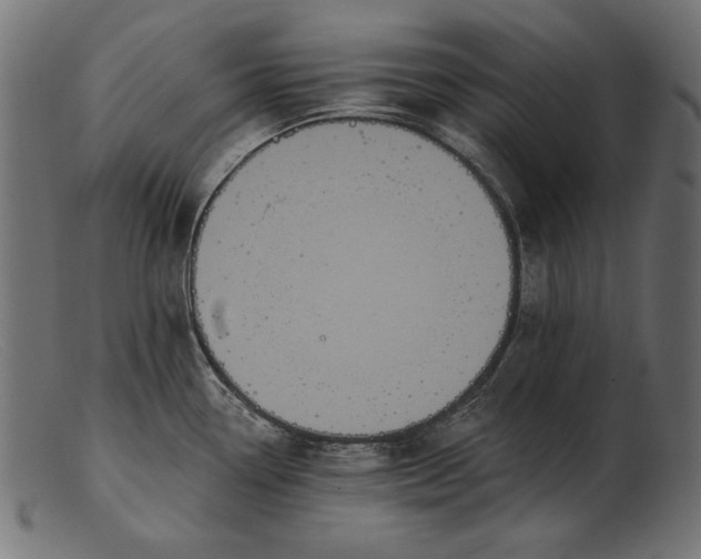 X0000103231338200809111522