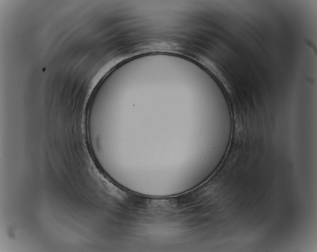 X0000103231339200809111522