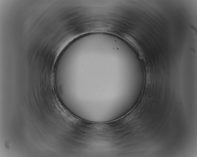 X0000103231340200809111522