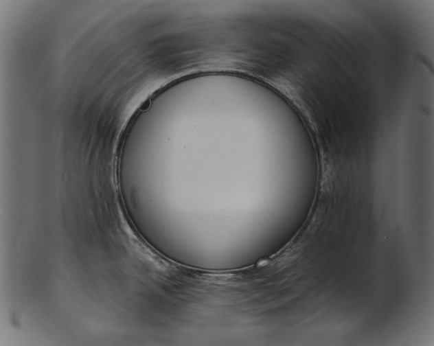 X0000103231342200809111522