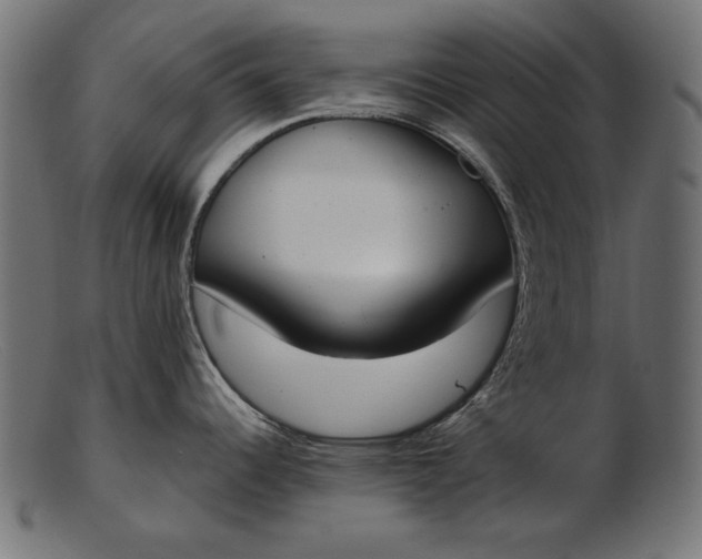 X0000103231344200809111522