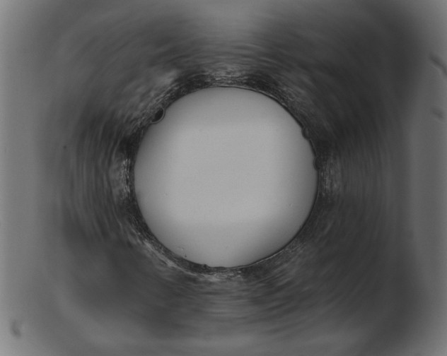 X0000103231346200809111521