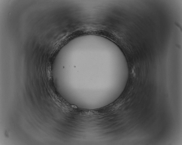 X0000103231348200809111521
