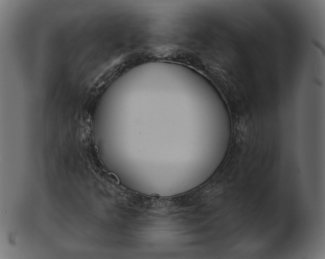 X0000103231349200809111521