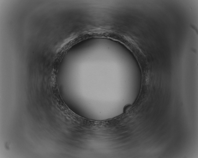 X0000103231350200809111521