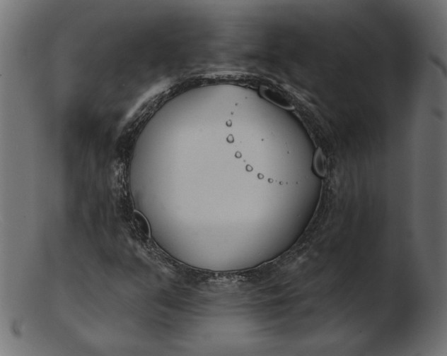 X0000103231351200809111521