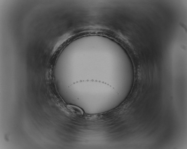 X0000103231352200809111521