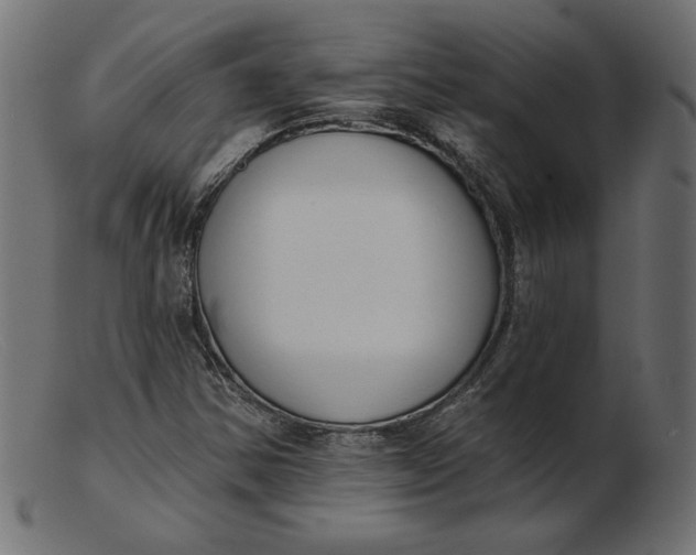 X0000103231354200809111521