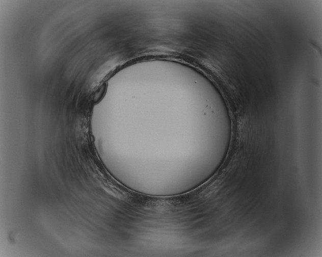 X0000103231355200809111521