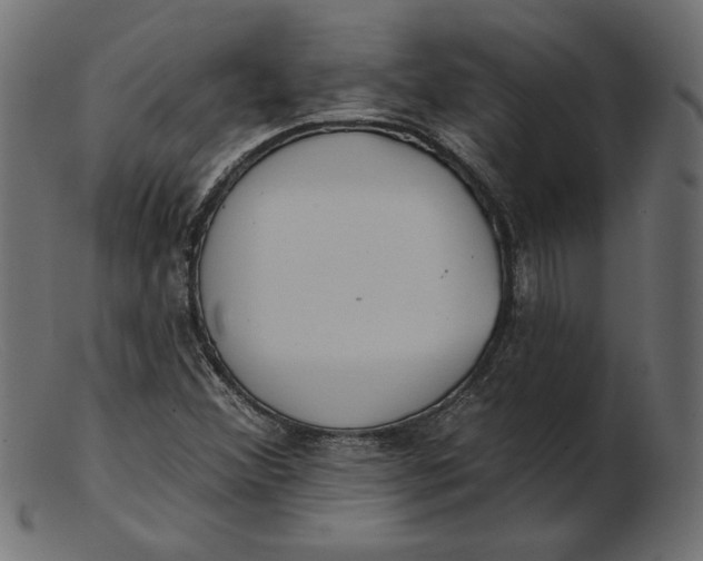 X0000103231356200809111521