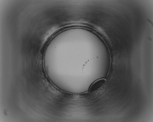 X0000103231360200809111521
