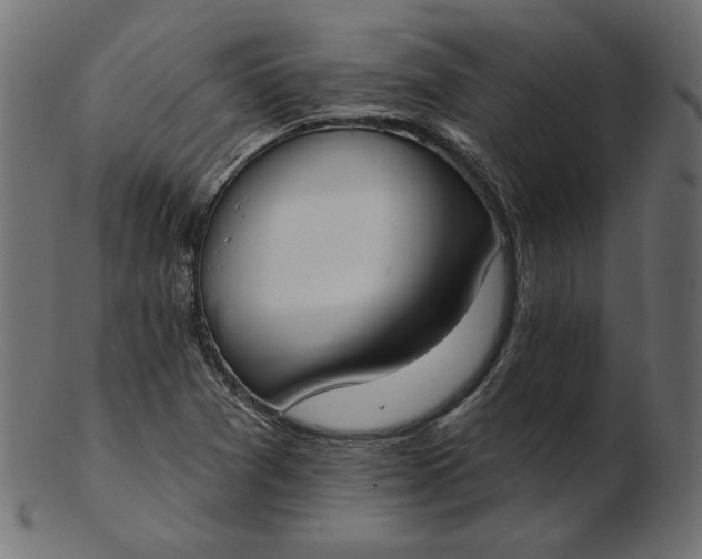 X0000103231361200809111521