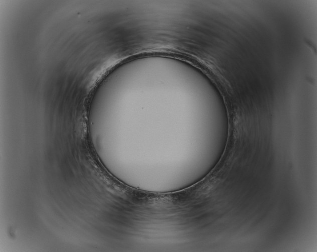 X0000103231363200809111521